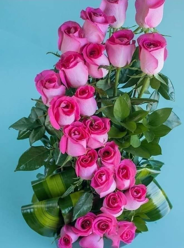 139769176_443161490443570_8006920356485075347_n