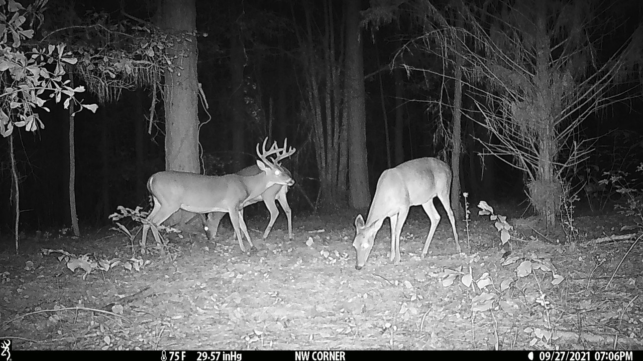 4BA5E79B-DD93-4EB6-89D9-5CBC0D4E4066