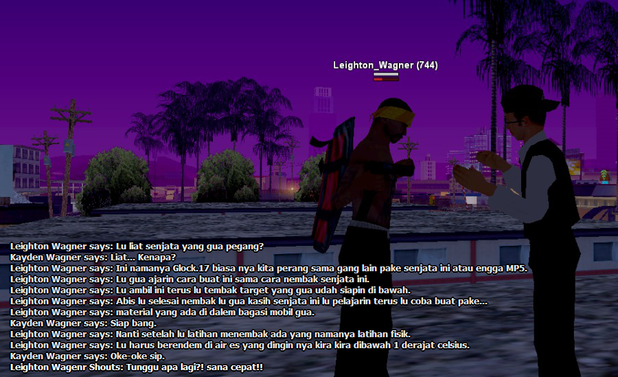 SS-CK-p2.png