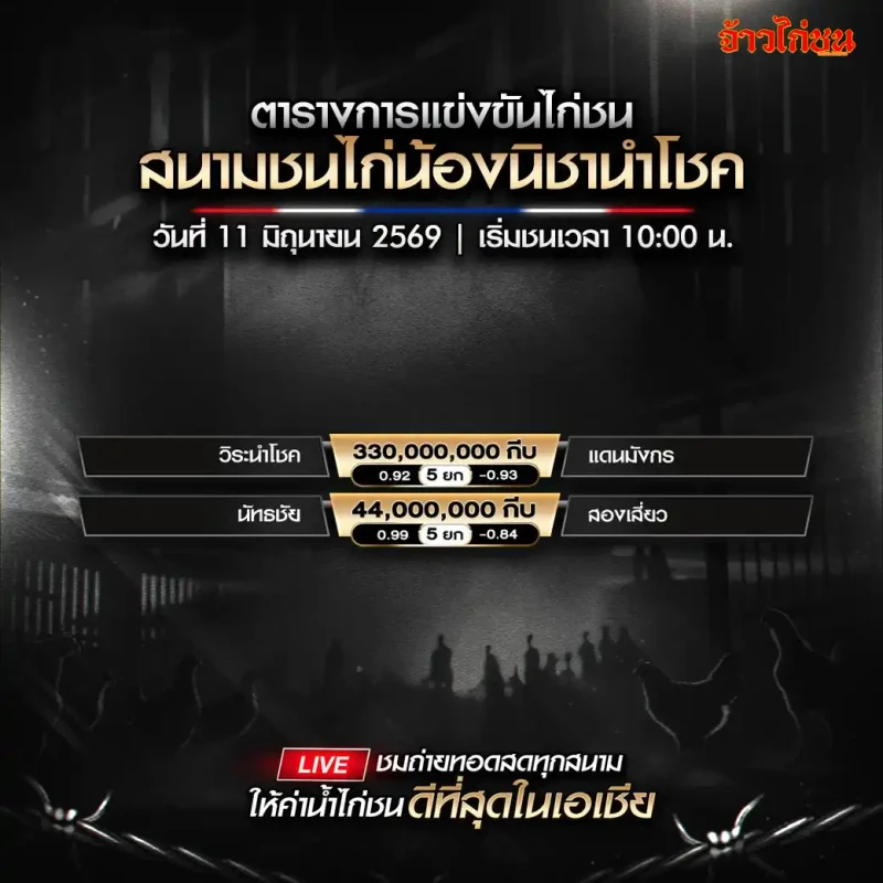 โปรแกรมไก่ชน สนามชนไก่น้องนิชานำโชค วันที่ 11 มิถุนายน 2569