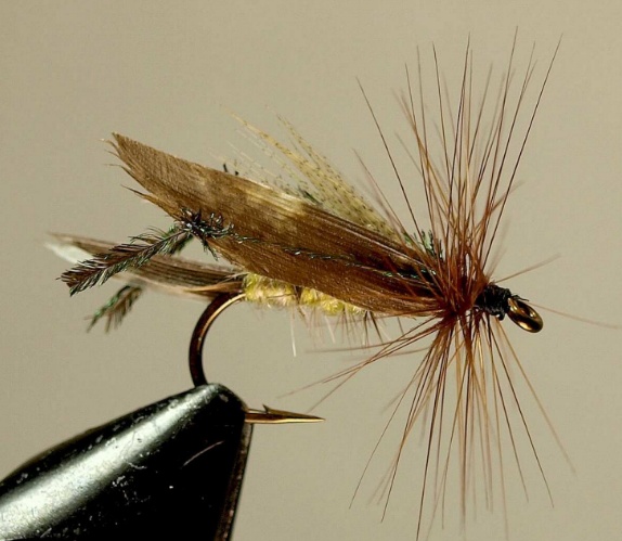 Hopper-Special-reference.jpg