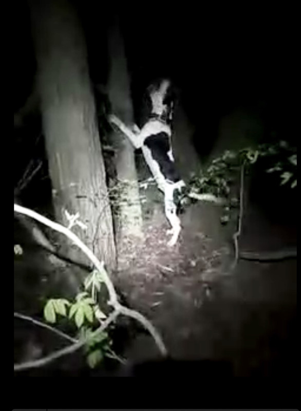 A069AD82-2B74-4A17-B737-114BFAF8BA27