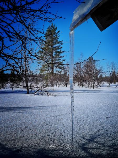 Auroras - 3.er reportaje por Laponia norte - Marzo 2025 - Blogs de Finlandia - PARTE I (69)