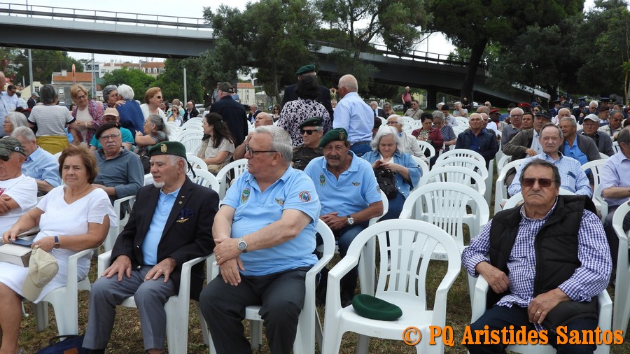 505527916-2426575494391294-7628439886318432605-n