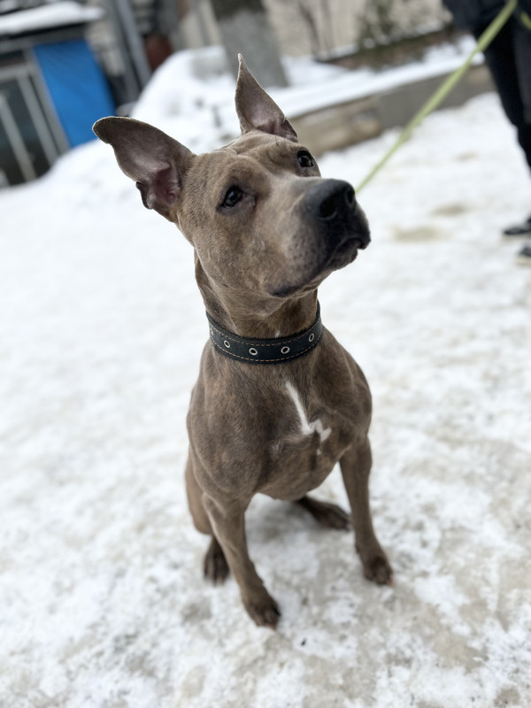 5EF43419-1A81-4A9B-B019-C3AB1E8380E0