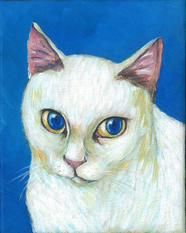 21-an-elegant-white-cat-with-blue-eyes-jingfen-hwu