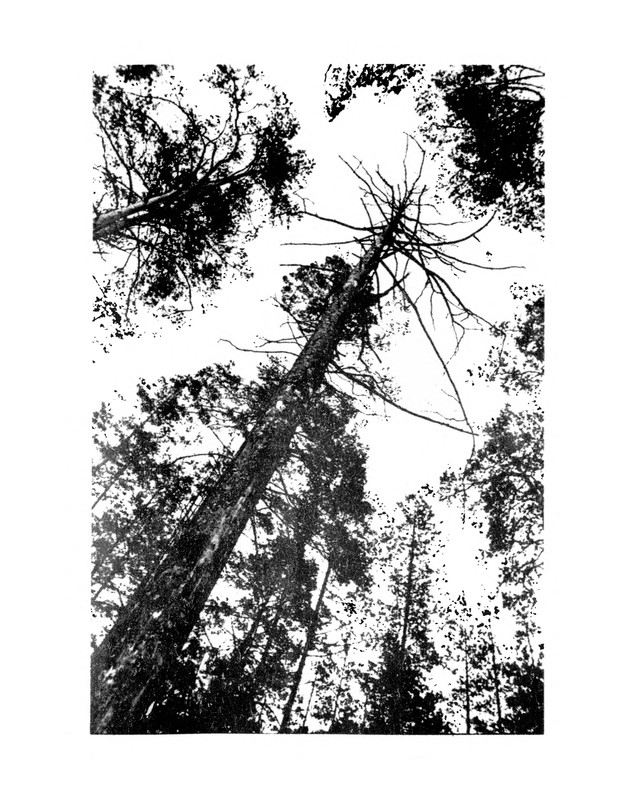p0099
