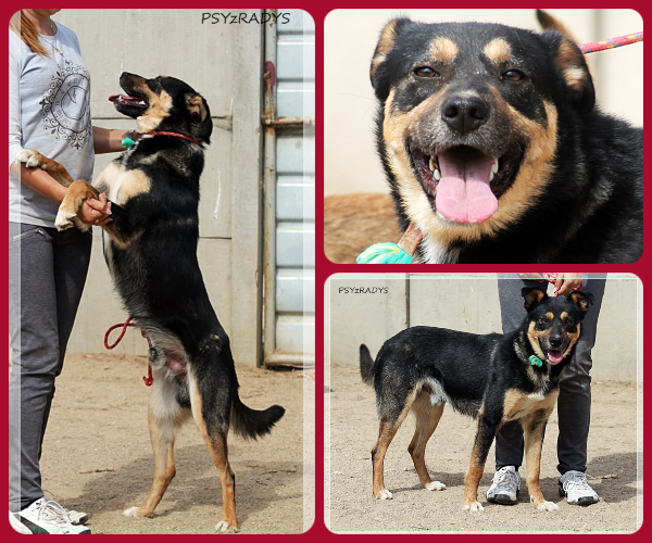 BeFunky-collage (30)