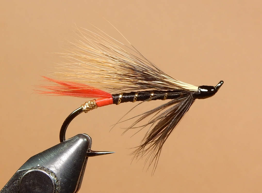 Red-Squirrel-Tail-1080.jpg