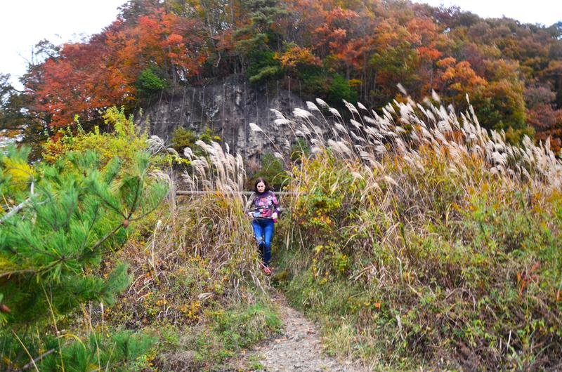 Lago Shōji-16-11-2024 - Japón y sus Pueblos-2024 (15)