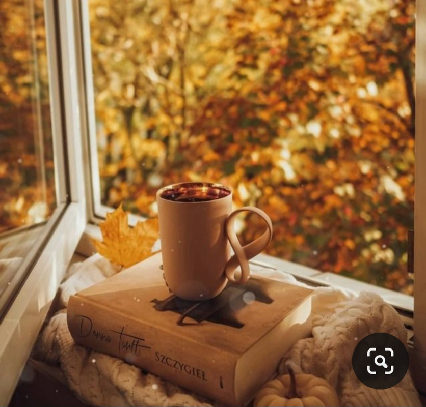 Screenshot_20231015_201250_Pinterest