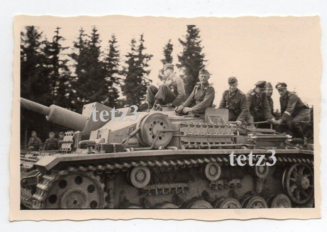 Russland 246 Inf.Div.Sturmgeschütz Panzer Tank S
