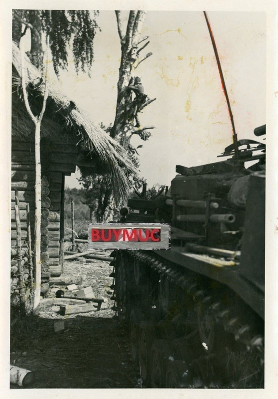 LARGE FOTO PANZER TANK STURMGESCHÜTZ BEI CHOLM F