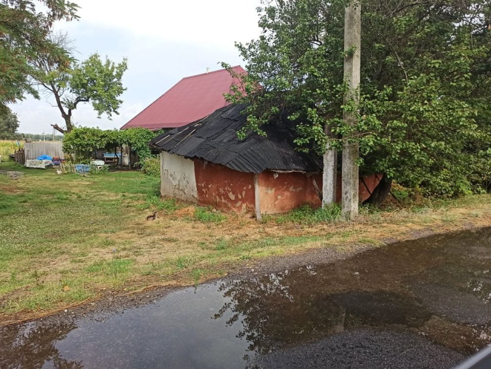 Чернеччина2