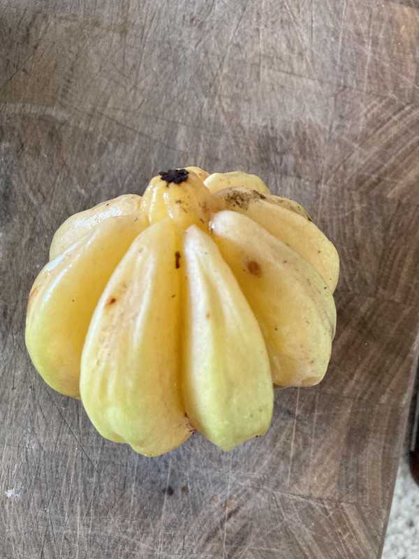 1B082674-5416-4B6C-B6AA-8079E4356698