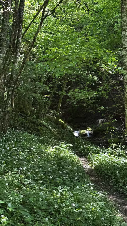 https://i.postimg.cc/5054JRxk/IMG-9178.avif