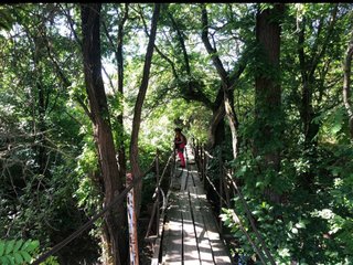 IMG_20240623_175505_067