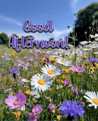 good-after-wild-flowers.jpg