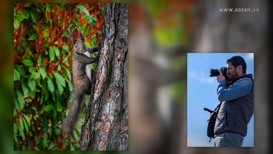 κοζάνη, ειδήσεις, νέα, Πτολεμαΐδα