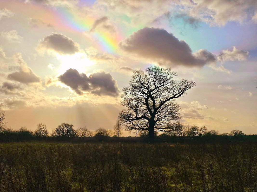 912-BF05-F-1719-4-D9-E-B5-F3-07-FEEA7437