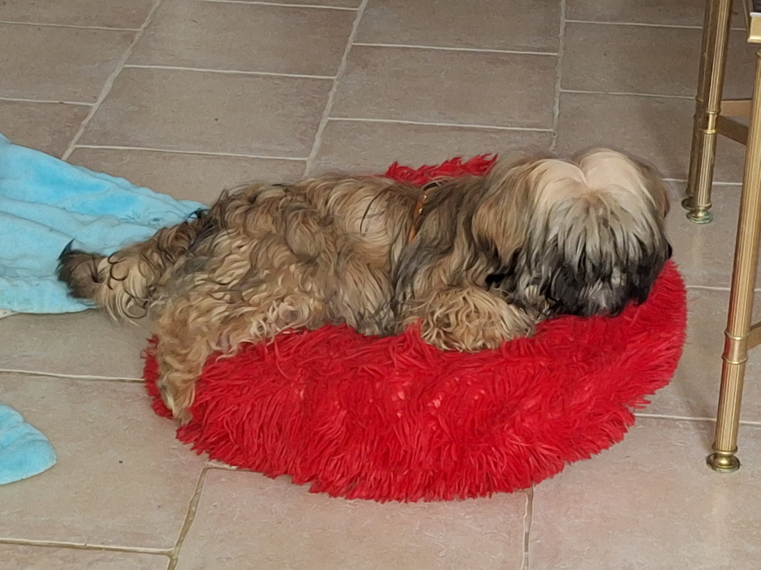 [Image: 20231230-133316.jpg]