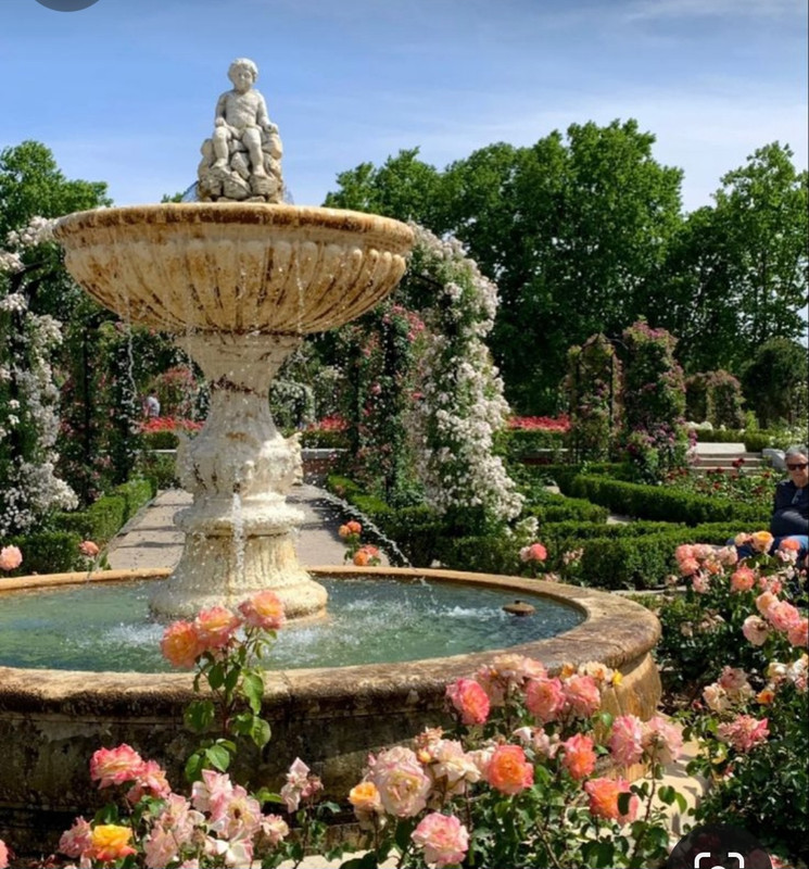 Screenshot_20240512_131459_Pinterest