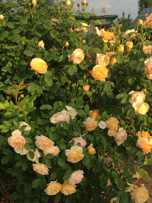 5B4B88A3-FE7C-4B89-A4DD-49C27C262BB0