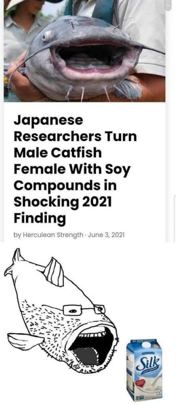 1680725181487979.jpg