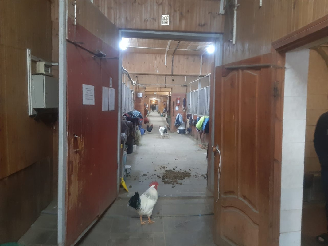 WhatsApp Image 2021-03-05 at 12.14.49 (1)