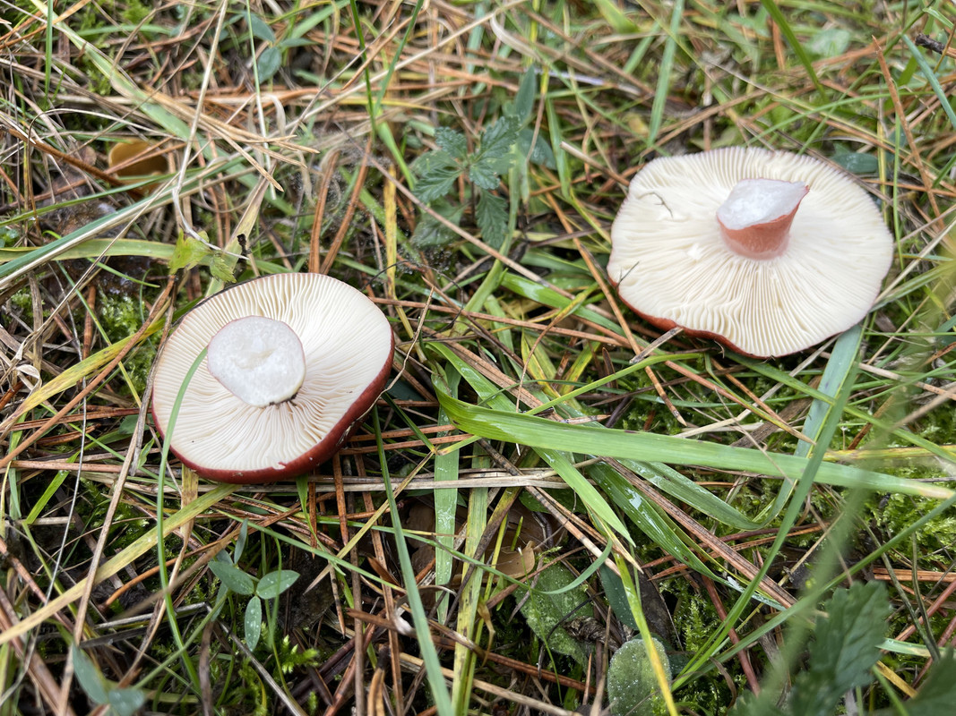 A8C0EDA6-5CB6-49ED-AD11-338780025A79