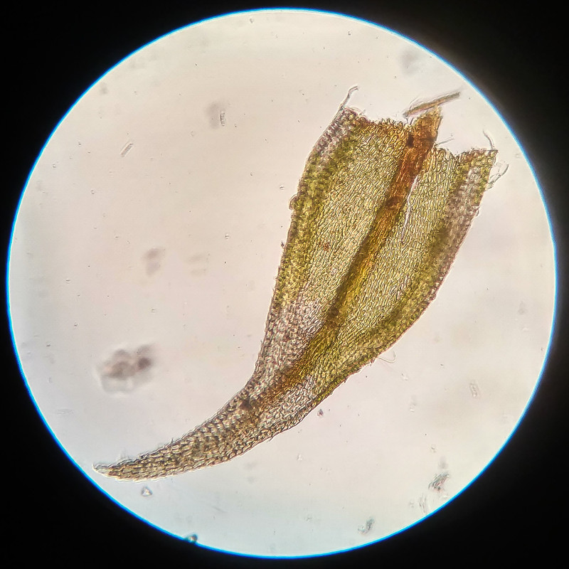 IMG 20250615 221029 HDR