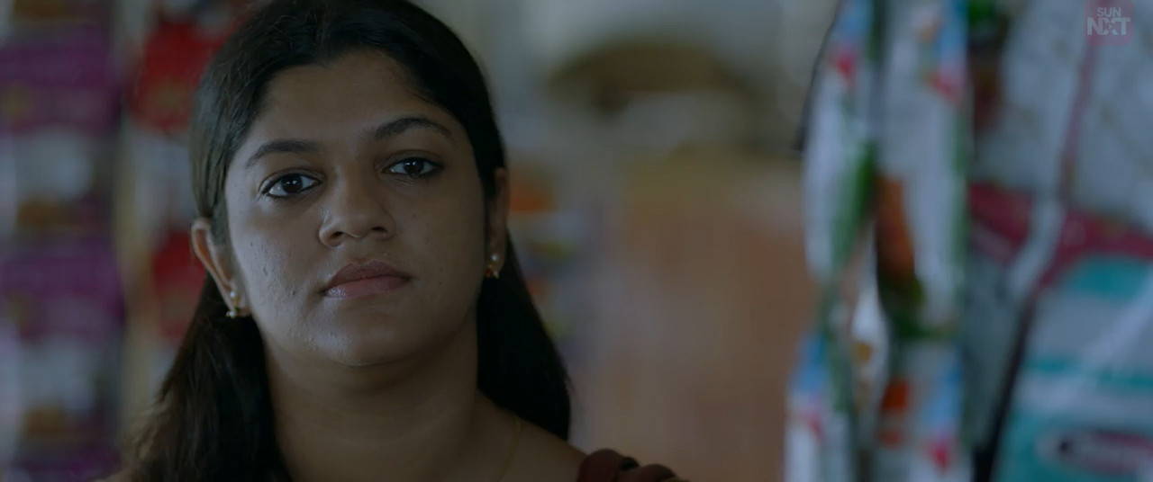 Mindiyum Paranjum 2025 WebRip [Malayalam] 480p 720p ESub Screenshot