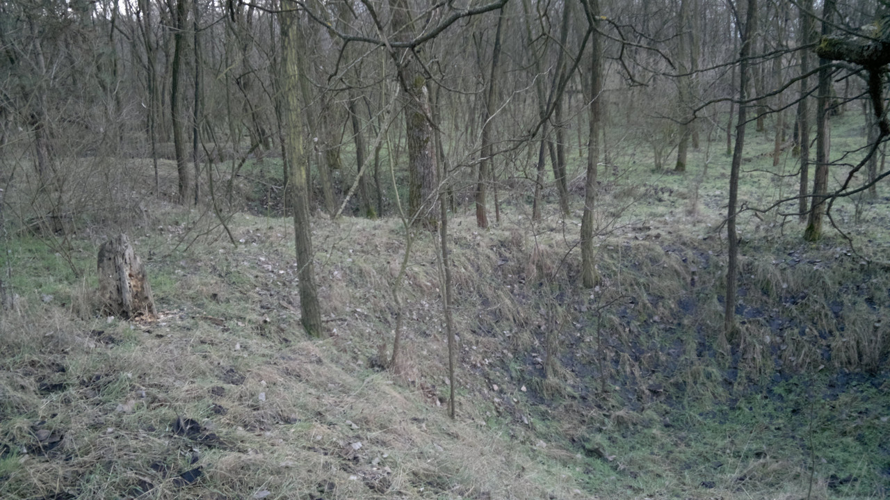 2016-01-A Kálvária erdőben lévő bombatölcsérek,vagy inkább robba