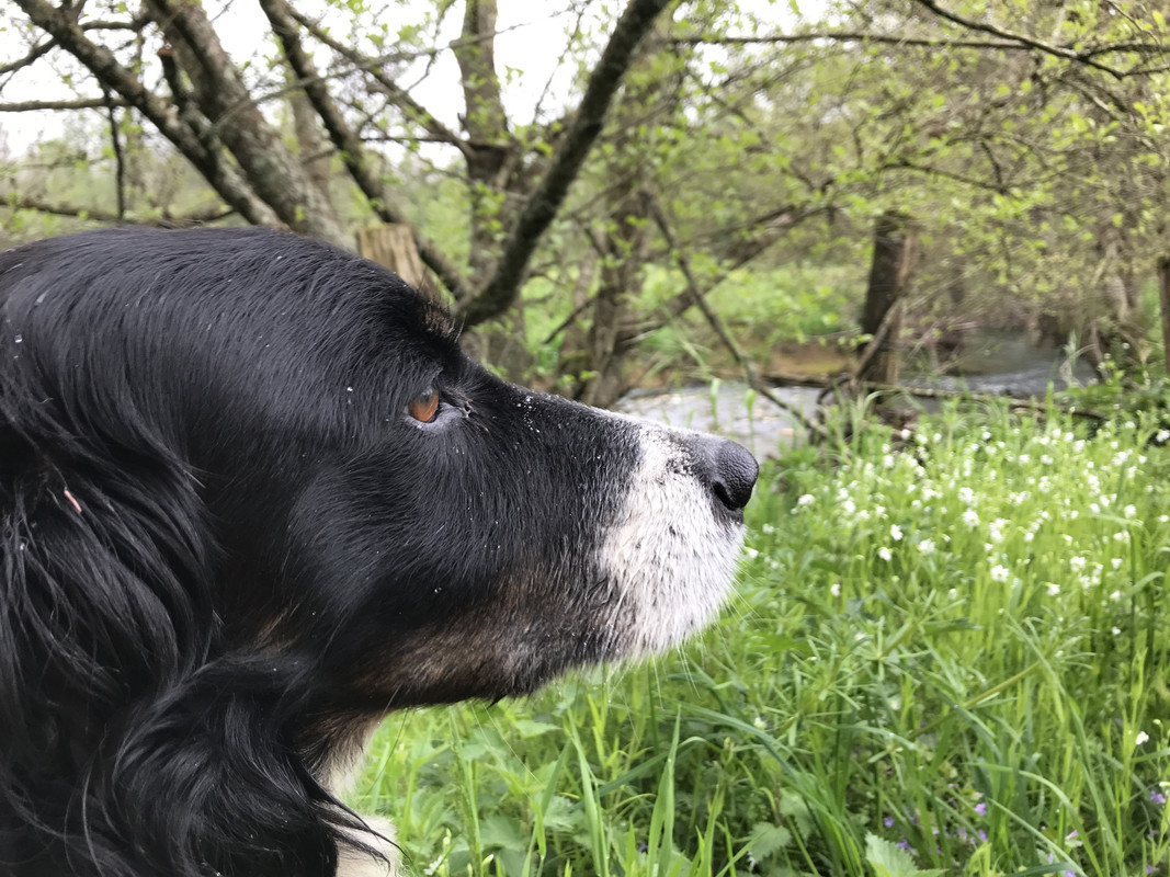 156EF261-60E2-44E6-AE51-011245059F12