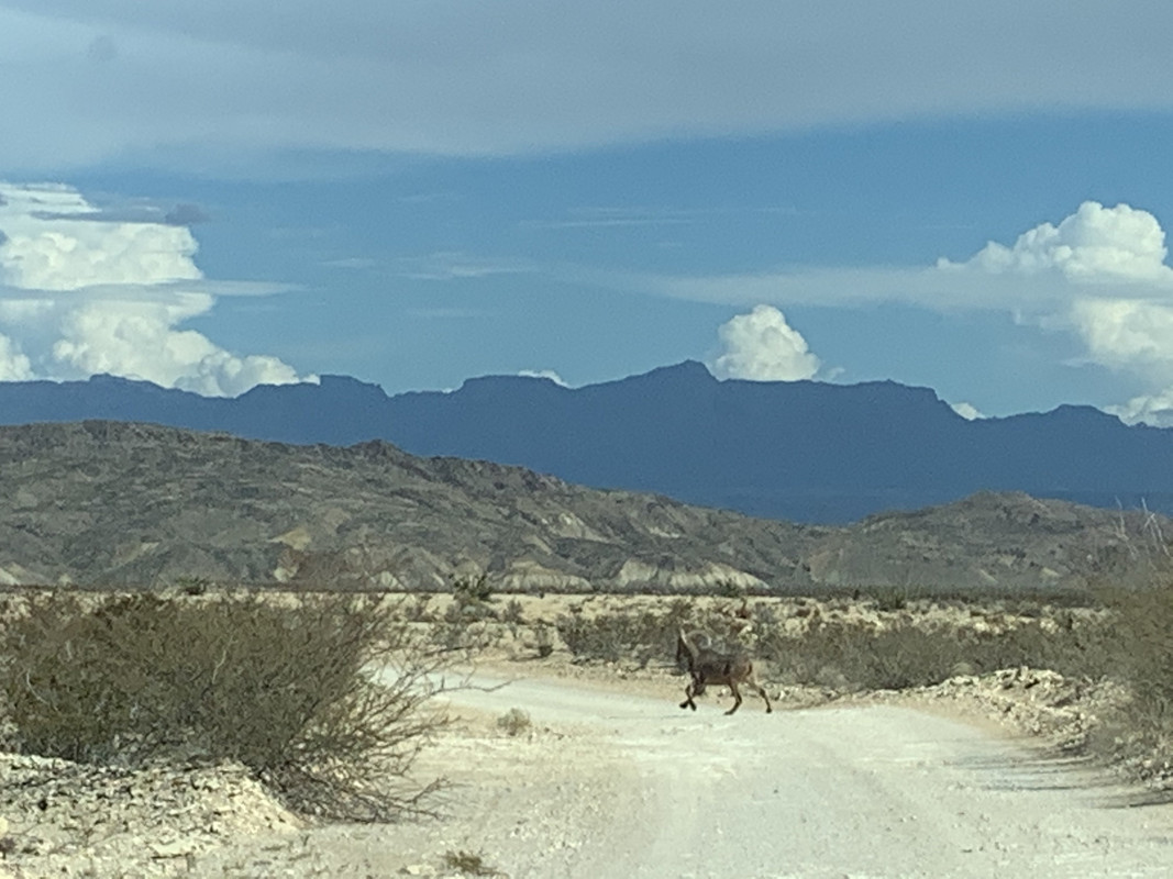 514BF1FE-5468-4B55-B32E-840DB3B4A642