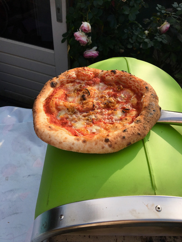 8CA7FA5B-78D3-44A1-AC5A-7339E266C7E2