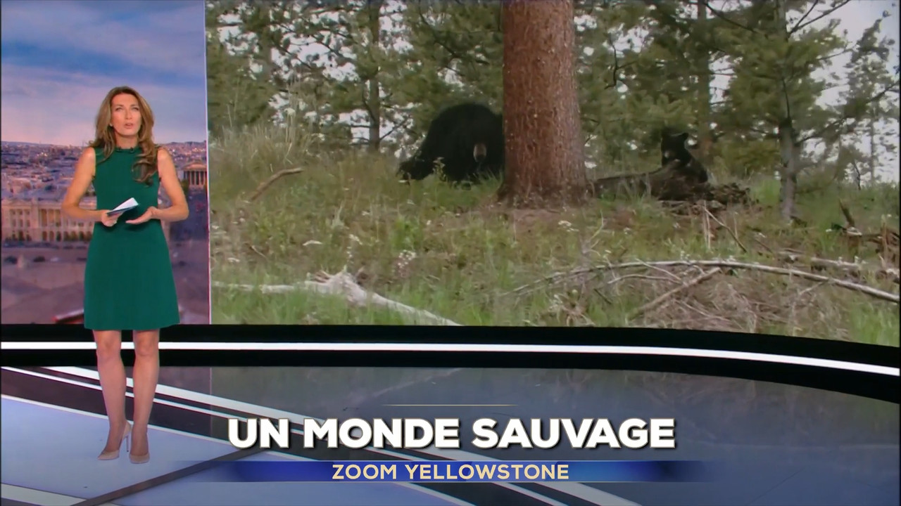 2022-10-09_13_00_TF1_Le-13h.mp4_snapshot_05.13.494
