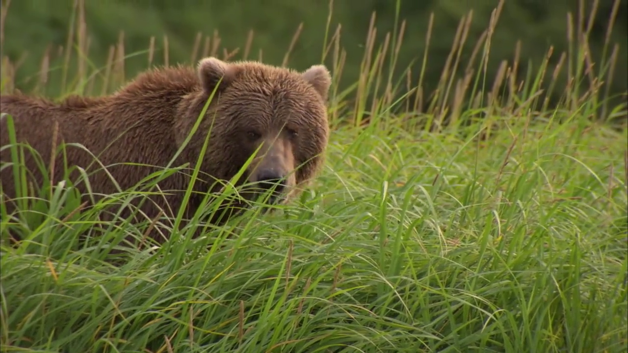 300mbunited.me--00009