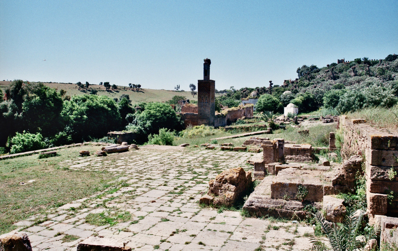 Chellah Necrópilis (5)