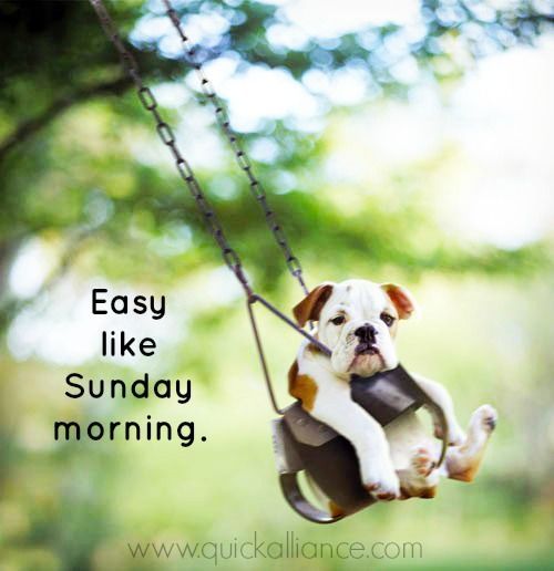sundaydogsw-ing.jpg