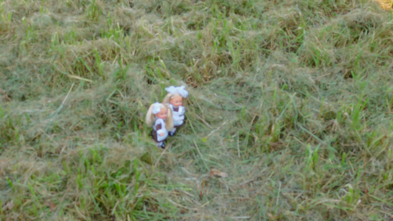 Дачное и  к Хелл сентябрь 2023 155