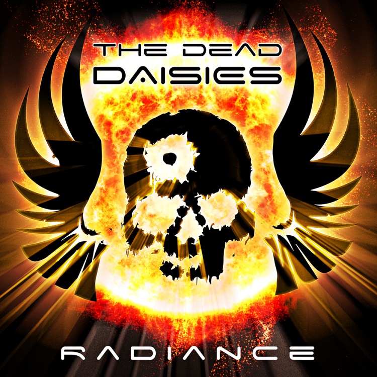 dead-daisies-radiance-6324.jpg