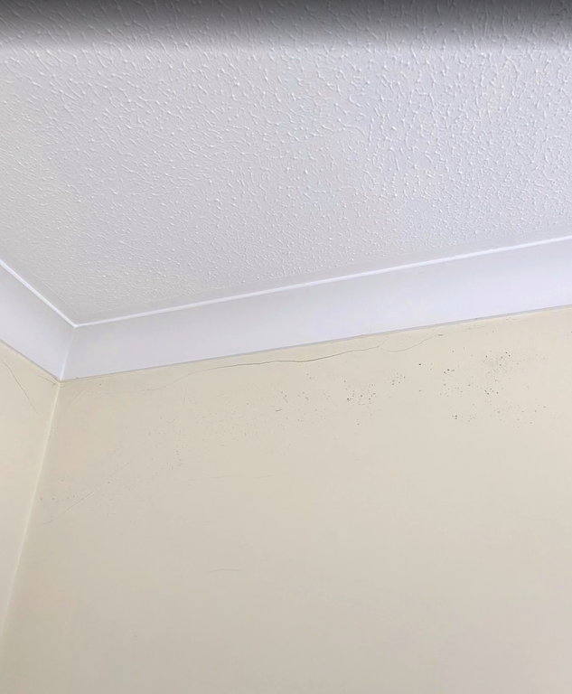 Screenshot 2026 03 11 at 13 34 22