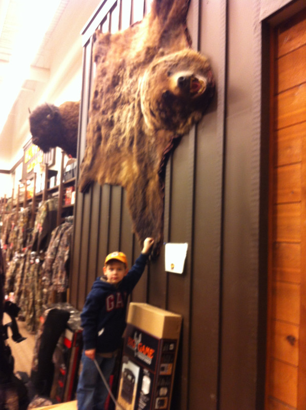 Grizzly on wall at WSS 2013