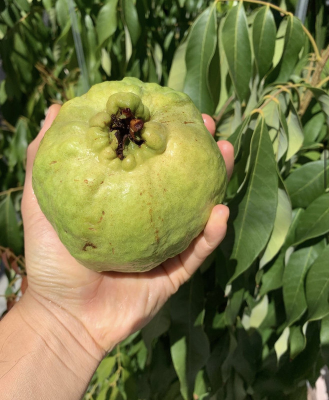 F18E5F58-6D6D-4655-BF82-7F045126CCB5