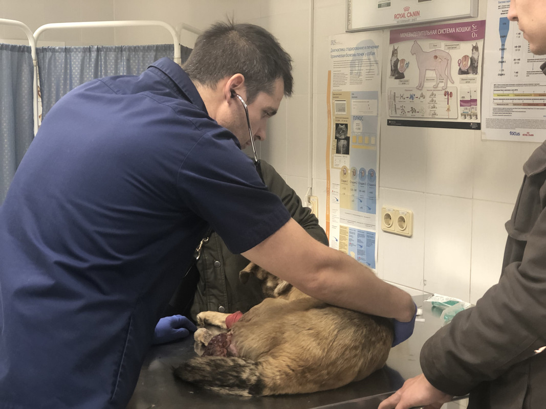 2979D253-57A5-45C0-8CEC-61ADFF69874B