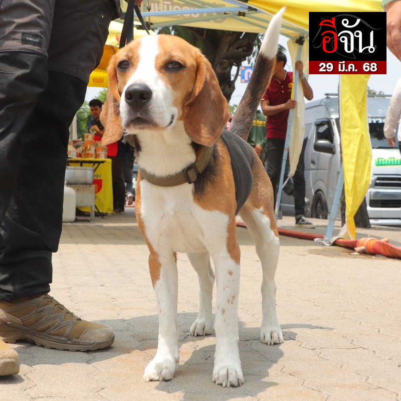 486065389-660942809978487-6537228418124629759-n