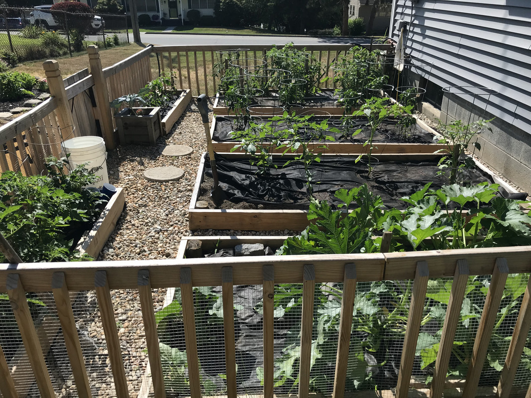 garden1