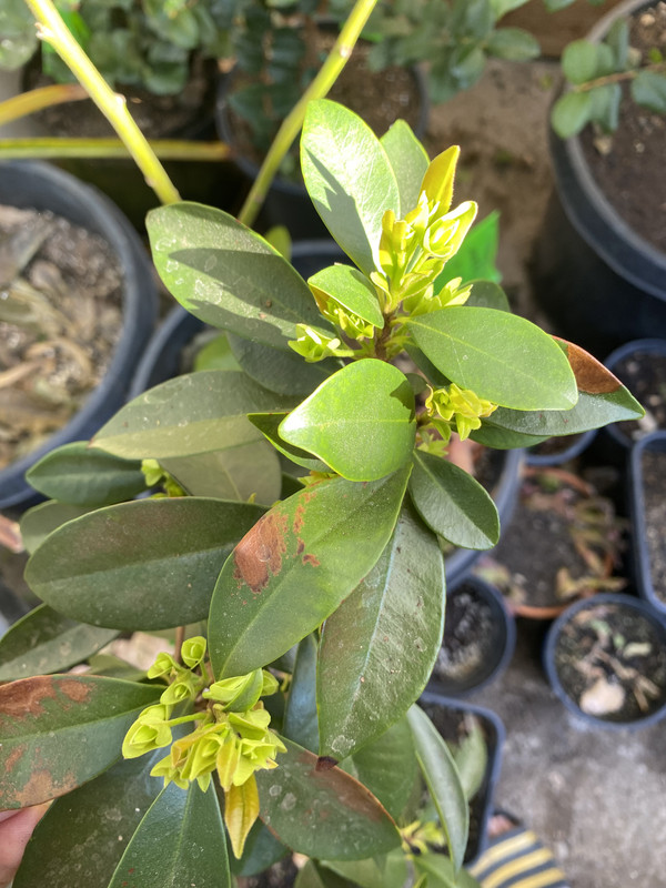 3E068F24-BF0B-49DB-983B-F3264337945D