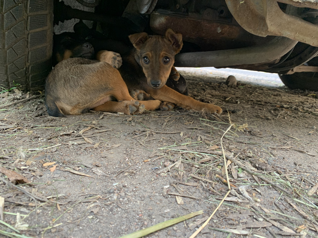 A56F8545-6DDB-4B28-A551-5D34B98C3F33